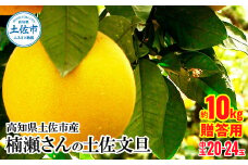 【先行予約】高知県土佐市産 楠瀬さんの土佐文旦 贈答用中玉 約10kg 期間限定 高知 土佐 文旦 ぶんたん ブンタン 柑橘 みかん 果物 10キロ L～2Lサイズ 20～25玉 フルーツ 旬 ギフト 常温