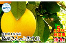 【先行予約】高知県土佐市産 楠瀬さんの土佐文旦 贈答用大玉 約5kg 期間限定 高知 土佐 文旦 ぶんたん ブンタン 柑橘 みかん 果物 5キロ 3L～4Lサイズ 6～9玉 フルーツ 旬 ギフト 常温