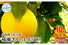 【先行予約】高知県土佐市産 楠瀬さんの土佐文旦 贈答用小玉 約10kg 期間限定 高知 土佐 文旦 ぶんたん ブンタン 柑橘 みかん 果物 10キロ M～Lサイズ 24～30玉 フルーツ 旬 ギフト 常温