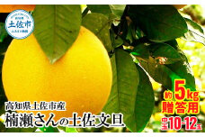 【先行予約】高知県土佐市産 楠瀬さんの土佐文旦 贈答用中玉 約5kg 期間限定 高知 土佐 文旦 ぶんたん ブンタン 柑橘 みかん 果物 5キロ L～2Lサイズ 10～12玉 フルーツ 旬 ギフト 常温