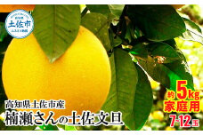 【先行予約】高知県土佐市産 楠瀬さんの土佐文旦 家庭用 約5kg 期間限定 高知 土佐 文旦 ぶんたん ブンタン 柑橘 みかん 果物 5キロ 7～12玉 フルーツ 旬 不揃い ご自宅用 常温