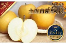 高知県土佐市産 梨（秋月）約5kg 10～12玉 期間限定 あきづき なし ナシ 5キロ 国産 フルーツ 果物 くだもの デザート スイーツ 旬 甘い 果汁たっぷり ジューシー ギフト お取り寄せ