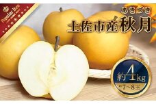 高知県土佐市産 梨（秋月）大玉 約4kg 7～8玉 期間限定 あきづき なし ナシ 4キロ 国産 フルーツ 果物 くだもの デザート スイーツ 旬 甘い 果汁たっぷり ジューシー お取り寄せ