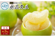 ＜厳選＞高知の宝石、水晶文旦3kg 先行予約 期間限定 水晶文旦 文旦 ブンタン ぶんたん 3キロ 柑橘 みかん フルーツ 果物 高知 名物 箱入り ギフト