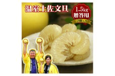 12月発送土佐文旦 温室土佐文旦 特選秀品ご贈答用中箱 2個入り 約1.5kg 文旦 大玉サイズ ハウス文旦 柑橘 みかん フルーツ ぶんたん ブンタン 果物 お取り寄せ おいしい 美味しい 高知県土佐市産 故郷納税 ふるさとのうぜい 返礼品 高知県 高知 お歳暮 お歳暮