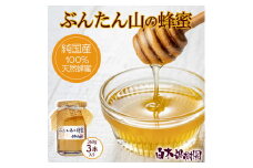 爽やかな香り広がる100%天然蜂蜜 ぶんたん山の蜂蜜　360g 3本入り はちみつ ハチミツ 高知県産 国産 天然はちみつ 土佐 高知 【白木果樹園】