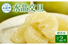 水晶文旦 特選ご贈答用 特大 約1.5kg（2個入） ぶんたん ブンタン 水晶文旦 果物 柑橘 フルーツ 特大サイズ お取り寄せ 特産品 美味しい 高知県産 美味しい ギフト 贈答品 贈り物