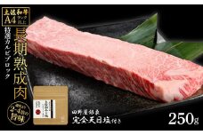 土佐和牛 特選カルビブロック250g 田野屋銀象完全天日塩1P付き 特選 長期熟成肉 田野屋銀象 完全天日塩付き カルビ 牛肉 ブロック 肉 お肉 和牛 国産 牛 熟成肉 ブロック肉 豪華 贅沢