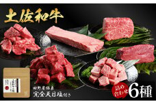 土佐和牛詰め合わせ6種 長期熟成肉 6種 詰め合わせ セット 田野屋銀象 完全天日塩付き 牛肉 肉 お肉 和牛 国産 牛 赤身 ヒレ カルビ ロース ブロック サイコロステーキ 熟成肉 豪華 贅沢