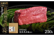 土佐和牛 特選赤身ブロック250g 田野屋銀象完全天日塩1P付き 長期熟成肉 田野屋銀象 完全天日塩付き 赤身 牛肉 ブロック 肉 お肉 和牛 国産 牛 熟成肉 ブロック肉 豪華 贅沢 真空パック