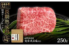 土佐和牛 特選ロースブロック250g 田野屋銀象完全天日塩1P付き 長期熟成肉 田野屋銀象 完全天日塩付き ロース 牛肉 ブロック 肉 お肉 和牛 国産 牛 熟成肉 ブロック肉 贅沢 真空パック