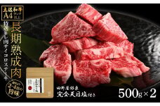 土佐和牛 特選ヒレ肉サイコロステーキ500g×2 田野屋銀象完全天日塩2P付き 1kg 1キロ 特選 長期熟成肉 田野屋銀象 完全天日塩付き ヒレ肉 ステーキ 肉 お肉 和牛 牛肉 国産 牛 熟成肉