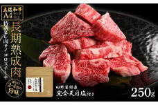 土佐和牛 特選ヒレ肉サイコロステーキ250g 田野屋銀象完全天日塩1P付き 特選 長期熟成肉 田野屋銀象 完全天日塩付き ヒレ肉 ステーキ 肉 お肉 和牛 牛肉 国産 牛 熟成肉 サイコロステーキ