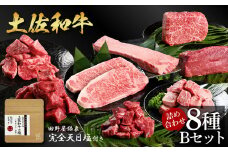 土佐和牛詰め合わせ8種Bセット 長期熟成肉 8種 詰め合わせ セット 田野屋銀象 完全天日塩付き 牛肉 肉 お肉 和牛 国産 牛 赤身 ヒレ カルビ ロース ブロック サーロイン スネ肉 熟成肉