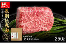 特選 ロースブロック 土佐あかうし 長期熟成肉 250g 田野屋銀象 完全天日塩付き ロース 牛肉 ブロック 肉 お肉 和牛 国産 牛 熟成肉 ブロック肉 豪華 贅沢 真空パック 冷凍配送