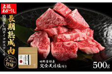 特選 ヒレ肉サイコロステーキ 土佐あかうし 長期熟成肉 500g 田野屋銀象 完全天日塩付き ヒレ肉 ステーキ 肉 お肉 和牛 国産 牛 牛肉 熟成肉 サイコロステーキ 豪華 贅沢 真空パック 冷凍