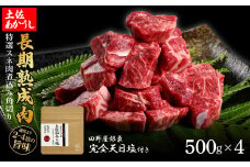 特選 スネ肉煮込み角切り 土佐あかうし 長期熟成肉 500g×4 合計2kg 田野屋銀象 完全天日塩付き スネ肉 煮込み 角切り 肉 お肉 和牛 牛肉 国産 牛 熟成肉 豪華 贅沢 真空パック 冷凍