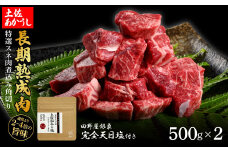 特選 スネ肉煮込み角切り 土佐あかうし 長期熟成肉 500g×2 合計1kg 田野屋銀象 完全天日塩付き スネ肉 煮込み 角切り 肉 お肉 和牛 牛肉 国産 牛 熟成肉 豪華 贅沢 真空パック 冷凍