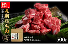 特選 スネ肉煮込み角切り 土佐あかうし 長期熟成肉 500g 田野屋銀象 完全天日塩付き スネ肉 煮込み 角切り 肉 お肉 和牛 牛肉 国産 牛 熟成肉 豪華 贅沢 真空パック 冷凍配送