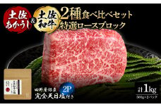 土佐あかうし＆土佐和牛2種食べ比べ 特選ロースブロック500g 計2P 田野屋銀象完全天日塩2P付 牛肉 肉 お肉 和牛 国産 牛 赤身 ヒレ カルビ ロース ブロック サーロイン 熟成肉