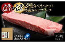 土佐あかうし＆土佐和牛2種食べ比べ 特選カルビブロック500g 計2P 田野屋銀象完全天日塩2P付 牛肉 肉 お肉 和牛 国産 牛 赤身 ヒレ カルビ ロース ブロック サーロイン 熟成肉