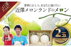 先行予約 メロン ２玉入り（1玉約1.4kg～1.8kg）青肉 2025年冬発送 期間限定 メロン めろん マスクメロン 舐瓜 果物 くだもの フルーツ デザート 旬 ハウス栽培 常温配送