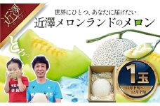 先行予約 メロン １玉入（約1.4kg～1.8kg）青肉 2025年冬発送 期間限定 メロン めろん マスクメロン 舐瓜 果物 くだもの フルーツ デザート 旬 ハウス栽培 常温配送