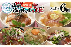 【6回定期便】訳あり土佐の海鮮漬け丼（5種×各4袋）セット 漬け丼の素 タイ 鯛 ブリ 鰤 マグロ 鮪 イカ カツオ 鰹 たたき 新鮮 魚 おかず おつまみ 惣菜 小分け 簡単 訳アリ わけあり