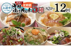 【12回定期便】訳あり土佐の海鮮漬け丼（5種×各2袋）セット 漬け丼の素 タイ 鯛 ブリ 鰤 マグロ 鮪 イカ カツオ 鰹 たたき 新鮮 魚 おかず おつまみ 惣菜 小分け 簡単 訳アリ わけあり