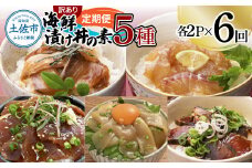 【6回定期便】訳あり土佐の海鮮漬け丼（5種×各2袋）セット 漬け丼の素 タイ 鯛 ブリ 鰤 マグロ 鮪 イカ カツオ 鰹 たたき 新鮮 魚 おかず おつまみ 惣菜 小分け 簡単 訳アリ わけあり