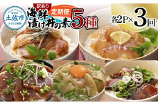 【3回定期便】訳あり土佐の海鮮漬け丼（5種×各2袋）セット 漬け丼の素 タイ 鯛 ブリ 鰤 マグロ 鮪 イカ カツオ 鰹 たたき 新鮮 魚 おかず おつまみ 惣菜 小分け 簡単 訳アリ わけあり