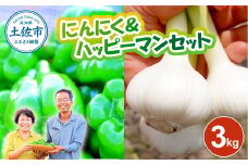 にんにく＆ハッピーマンセット 約3キロ 約3kg ニンニク 自然乾燥にんにく ピーマン 野菜 やさい おかず 副菜 お弁当 新鮮 おいしい 採れたて 国産 訳あり わけあり お取り寄せ