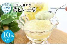 土佐文旦ゼリー『黄色い王様』10本セット ゼリー飲料 ぜりー ブンタン ぶんたん フルーツ 果物 柑橘 みかん お菓子 おかし おやつ デザート スイーツ おいしい 爽やか シャーベット お取り寄せ