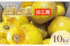 【訳あり】土佐文旦（ぶんたん）加工用（M～５Ｌ混合）約１０ｋｇ【株式会社とさもん（土佐市）厳選】 文旦 10キロ 約16~30玉 ぶんたん ブンタン 柑橘 果物 フルーツ お取り寄せ おいしい 訳あり 傷