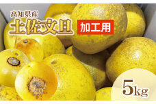 【訳あり】土佐文旦（ぶんたん）加工用（M～５Ｌ混合）約５ｋｇ【株式会社とさもん（土佐市）厳選】 文旦 5キロ 約8~15玉 ぶんたん ブンタン 柑橘 果物 フルーツ お取り寄せ おいしい 訳あり 傷