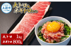 本マグロ 大トロ500g ネギトロ400g(200g×2) ねぎとろ マグロ まぐろ 大とろ 赤身 本鮪 本まぐろ 天然 刺身 刺し身 魚 海鮮 魚介 海鮮丼 ネギトロ丼 お寿司 おかず おつまみ 惣菜 簡単 時短