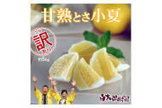 甘熟とさ小夏 約5kg 2S~2L こなつ コナツ 果物 フルーツ 柑橘 かんきつ 宿毛小夏 すくも小夏 爽やか 甘酸っぱい 果汁 訳あり わけあり おいしい ご自宅用 ご家庭用 お取り寄せ