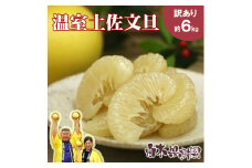 12月発送土佐文旦 温室土佐文旦 L~3L 約6kg 約6キロ(10~14個入り) お得箱 ブンタン ぶんたん 土佐文旦 ハウス文旦 高知県土佐市産 フルーツ 果物 くだもの 柑橘 旬 訳あり わけあり ご自宅用 ご家庭用 おいしい 甘い