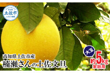 【先行予約】楠瀬さんの土佐文旦 家庭用大玉 約5kg 約5キロ 4L～2L ぶんたん ブンタン フルーツ 柑橘 みかん 果物 くだもの 柑橘類 デザート おやつ さっぱり おいしい 甘い お取り寄せ 国産