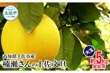 【先行予約】楠瀬さんの土佐文旦 家庭用大玉 約5kg 約5キロ 4L～2L ぶんたん ブンタン フルーツ 柑橘 みかん 果物 くだもの 柑橘類 デザート おやつ さっぱり おいしい 甘い お取り寄せ 国産