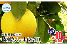 【先行予約】楠瀬さんの土佐文旦 家庭用大玉 約10kg 約10キロ 4L～2L ぶんたん ブンタン フルーツ 柑橘 みかん 果物 くだもの 柑橘類 デザート おやつ さっぱり おいしい 甘い お取り寄せ 国産