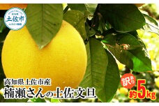 【先行予約】楠瀬さんの土佐文旦 訳あり 約5kg 約5キロ 4L～L ぶんたん ブンタン フルーツ 柑橘 みかん 果物 くだもの 柑橘類 デザート おやつ 甘い わけあり ご自宅用 ご家庭用 お取り寄せ 国産