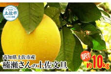 【先行予約】楠瀬さんの土佐文旦 訳あり 約10kg 約10キロ 4L～L ぶんたん ブンタン フルーツ 柑橘 みかん 果物 くだもの 柑橘類 デザート おやつ 甘い わけあり ご自宅用 ご家庭用 お取り寄せ 国産