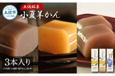 小夏羊かん 3本入り（小豆餡・てぼ餡・塩羊かん 各1本）羊羹 ようかん 和菓子 お菓子 おかし おやつ スイーツ こなつ あずき しお 土佐銘菓 プレゼント 贈答 手土産 食品 お取り寄せ