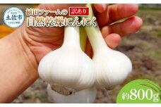 訳あり 植田ファームの自然乾燥にんにく800g 800グラム ニンニク ガーリック お酒 料理 醤油漬け ガーリックオイル ペペロンチーノ パスタ スパゲッティ ワケアリ 家庭用 ご自宅用 常温 冷蔵 配送 高知県 高知 土佐市 ふるさとのうぜい 故郷納税 返礼品