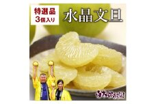 高知県産水晶文旦 特選ご贈答用 2Lサイズ 3個入り ぶんたん ブンタン 水晶文旦 果物 柑橘 フルーツ お取り寄せ 特産品 おいしい