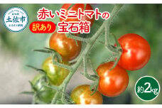 訳あり 赤いミニトマトの宝石箱 約2キロ 約2kg トマト とまと ミックス 詰め合わせ セット 野菜 料理 サラダ マリネ パスタ 浅漬け おやつ 弁当 甘味 酸味 新鮮 訳アリ 家庭用 ご自宅用