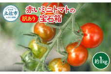 訳あり 赤いミニトマトの宝石箱 約1キロ 約1kg トマト とまと ミックス 詰め合わせ セット 野菜 料理 サラダ マリネ パスタ 浅漬け おやつ 弁当 甘味 酸味 新鮮 訳アリ 家庭用 ご自宅用