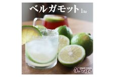＜果樹園直送＞ 白木果樹園産 ベルガモット 約1kg 1キロ 5~8個入り 果物 くだもの 果実 柑橘類 柑橘 爽やか フレッシュ 新鮮 デトックスウォーター 紅茶 料理 お取り寄せ 国産