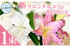 訳あり オリエンタルユリの詰め合わせ 1束(1束4～6本 15輪以上) 花 はな 花束 生花 ゆり 百合 蕾 つぼみ 鑑賞 鑑賞用 白百合 白ゆり 白ユリ 詰め合わせ 国産 家庭用 ご自宅用